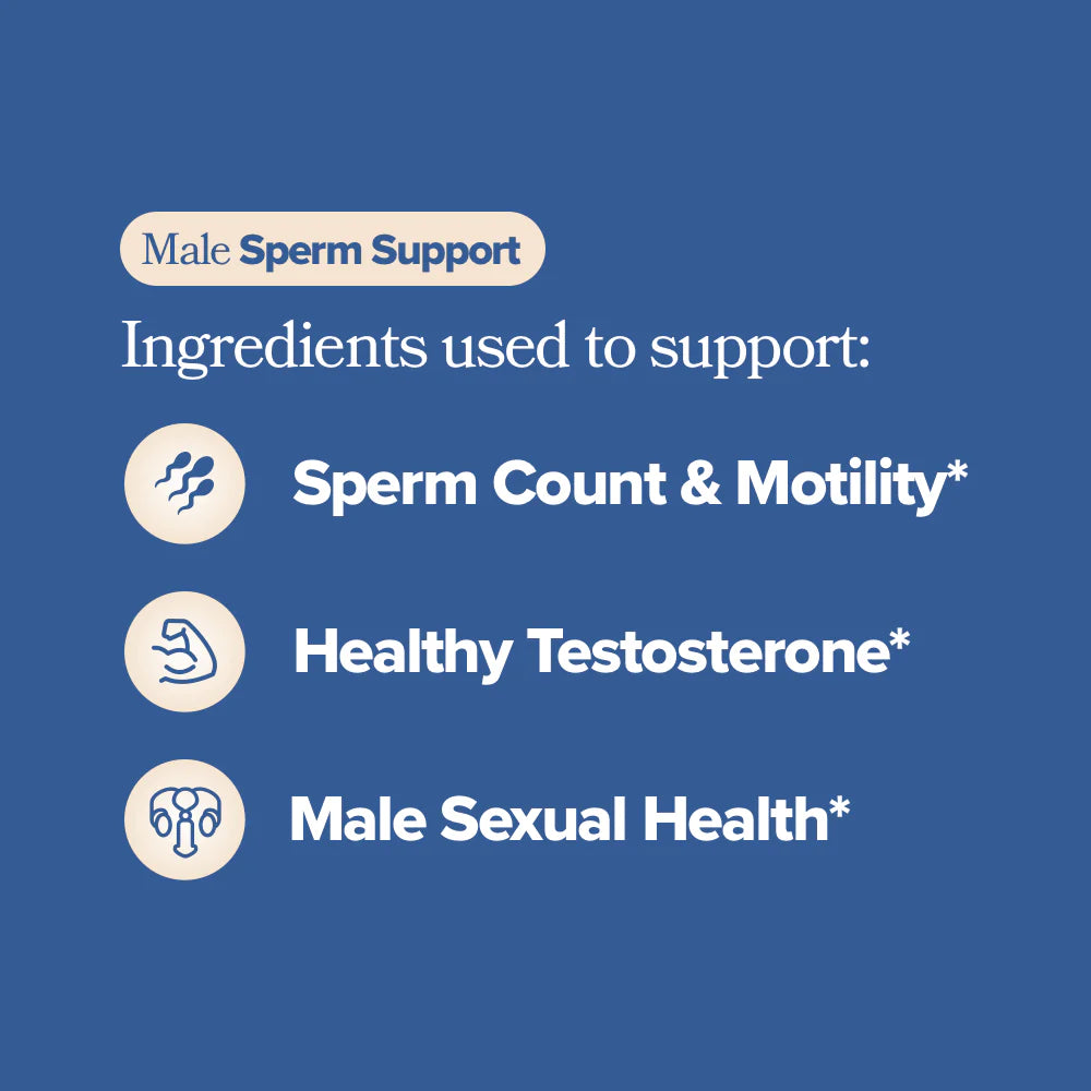 Sperm Health Support